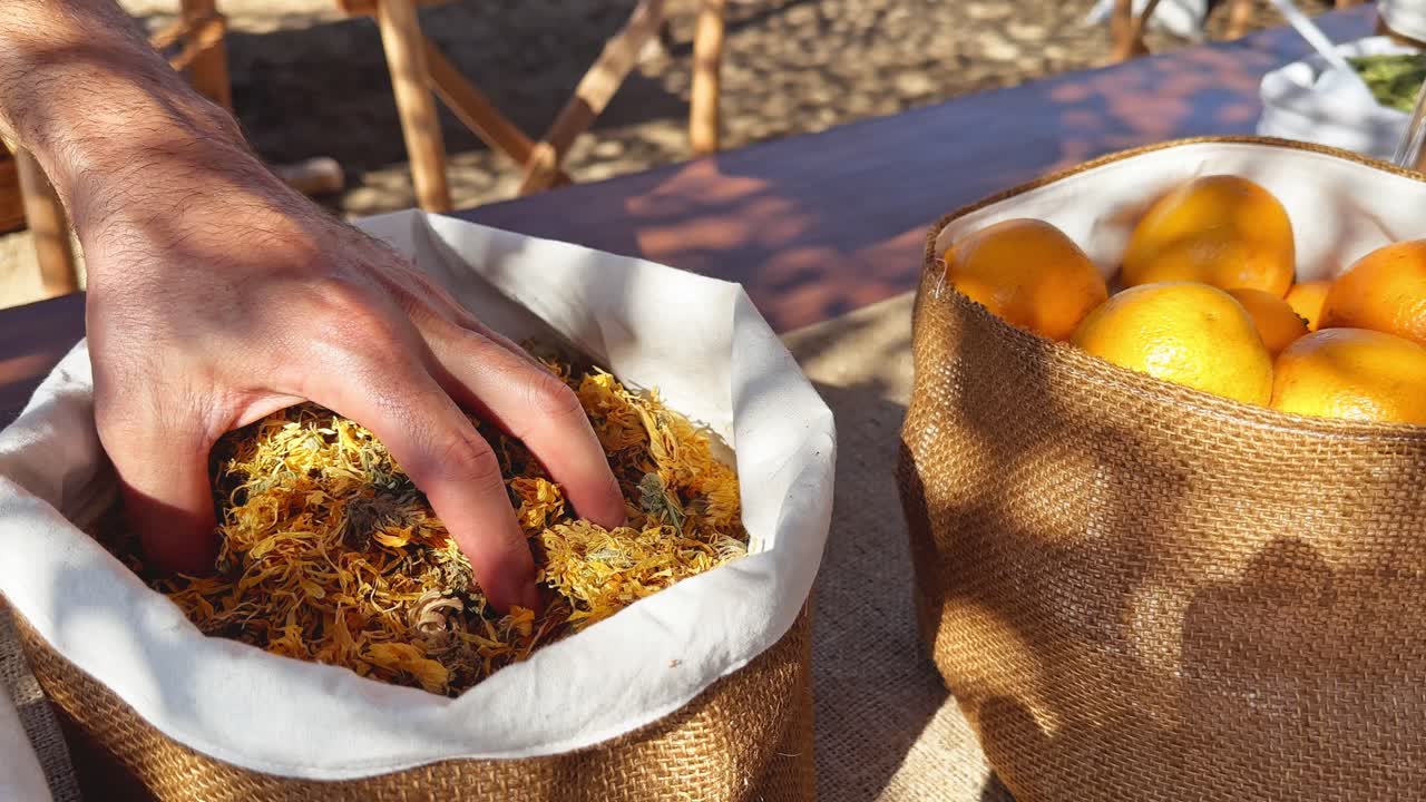 Person's hand checking dried marigold flowers