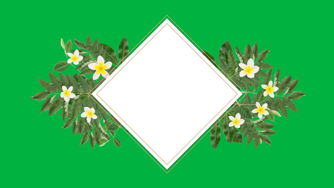 Animated Diamond Frame with Tropical Leaves and Plumeria Flowers on Green Screen