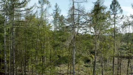 Aerial-drone-shot-over-beautiful-german-landscape,-woods,-Europe