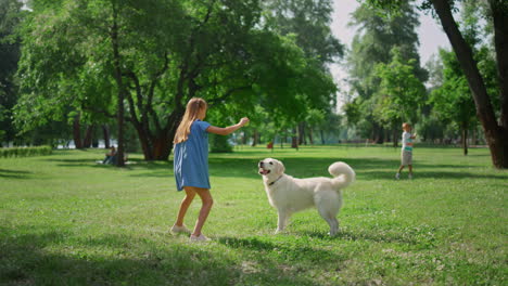 cute girl training dog in green park rear view. children play catch with pet.