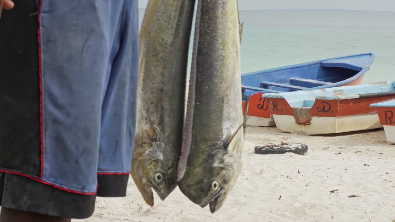 pescado mahi-mahi - pescador con pescado dorado recién capturado en la playa