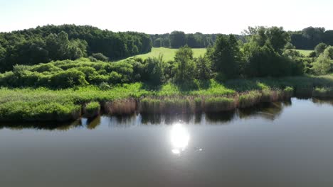 Vista-Aérea-De-Un-Río-Azul-Limpio-Con-Juncos-Y-Reflejo-Del-Sol-En-La-Superficie