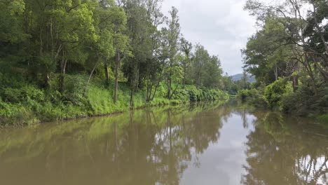 scenic river view with lush greenery