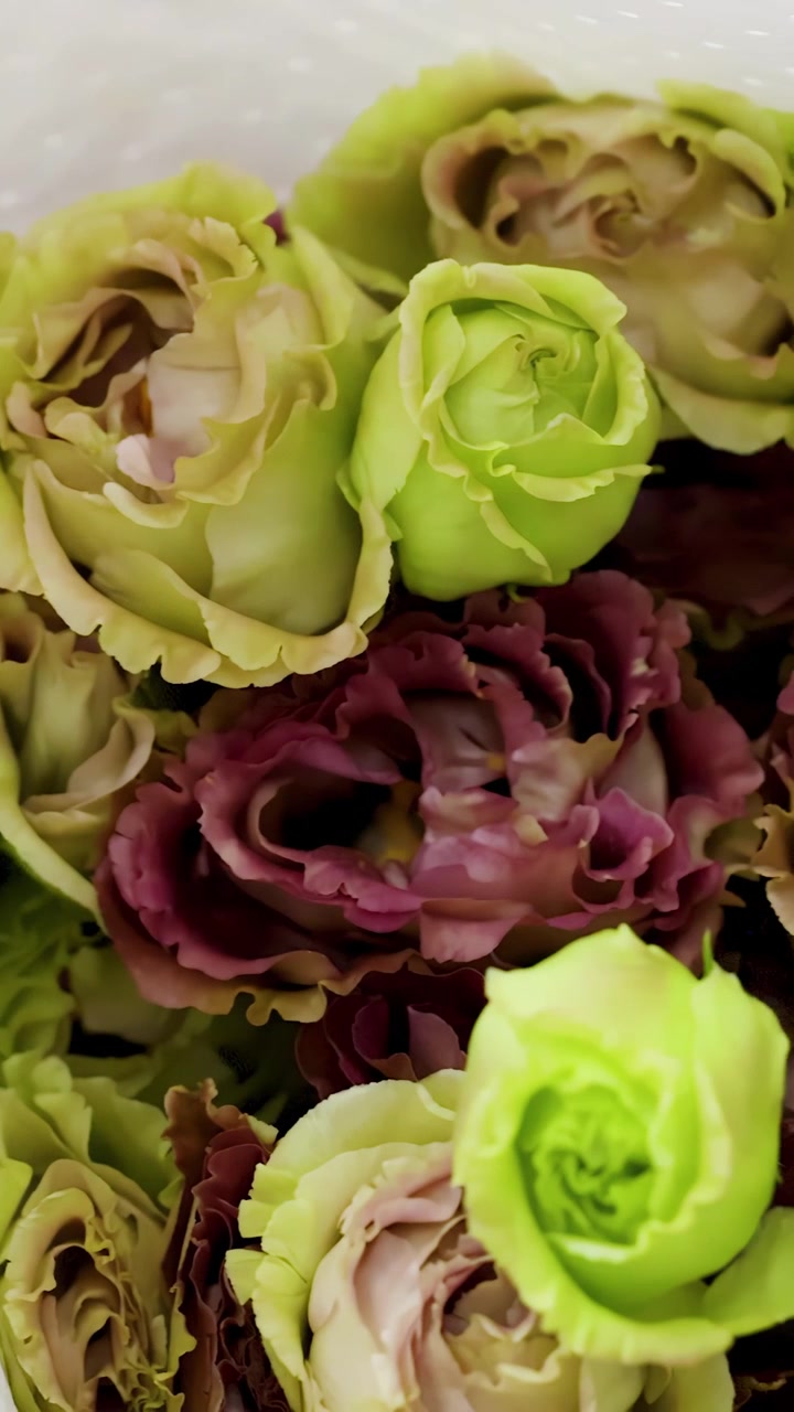 A smooth camera pan reveals vibrant pink and green lisianthus blossoms wrapped in white paper.