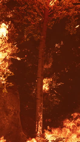 grandes llamas de incendios forestales por la noche