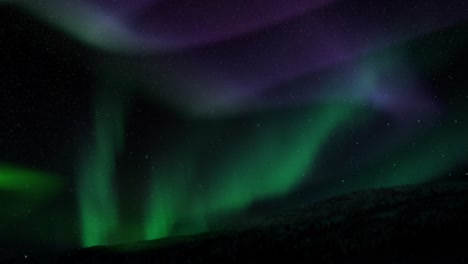 aurora en la noche contra un primer plano oscuro y llano