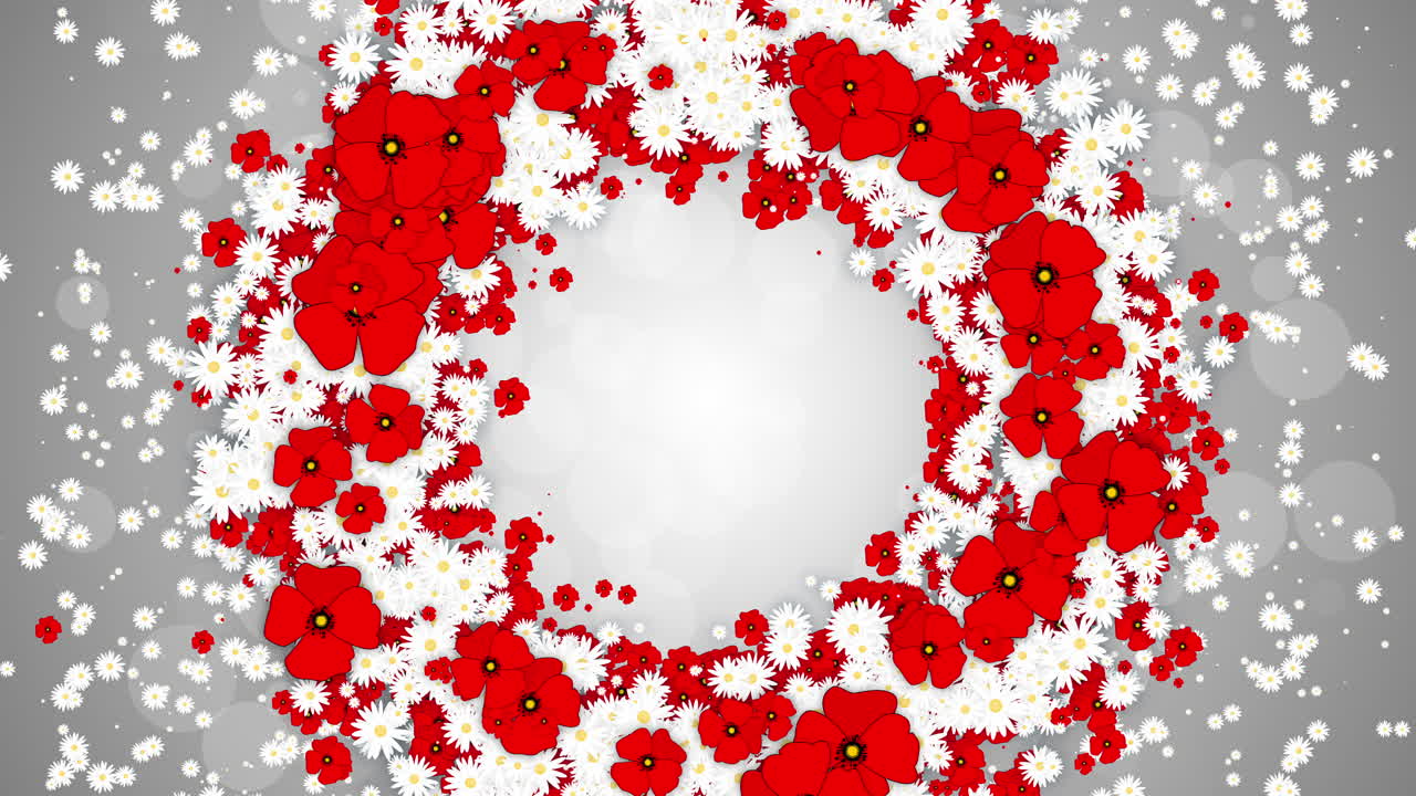 Floral round frame spring background. Small flying white daisies and red poppy flowers with abstract particles. Looped holiday animation.