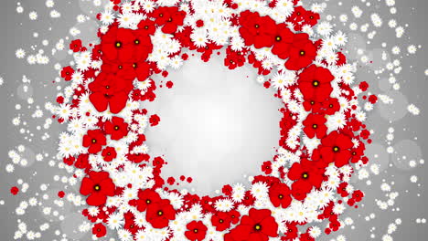 floral round frame spring background. small flying white daisies and red poppy flowers with abstract particles. looped holiday animation.