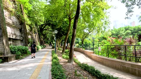 personas caminando a lo largo de un sendero panorámico del parque