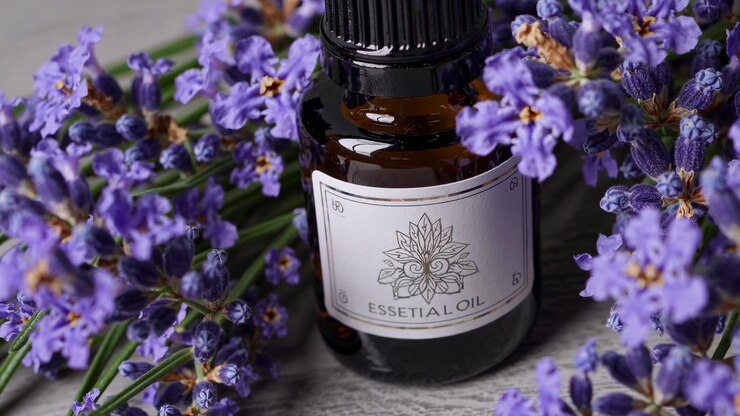 Flasker med naturlig lavendel eterisk olje og friske lilla blomster