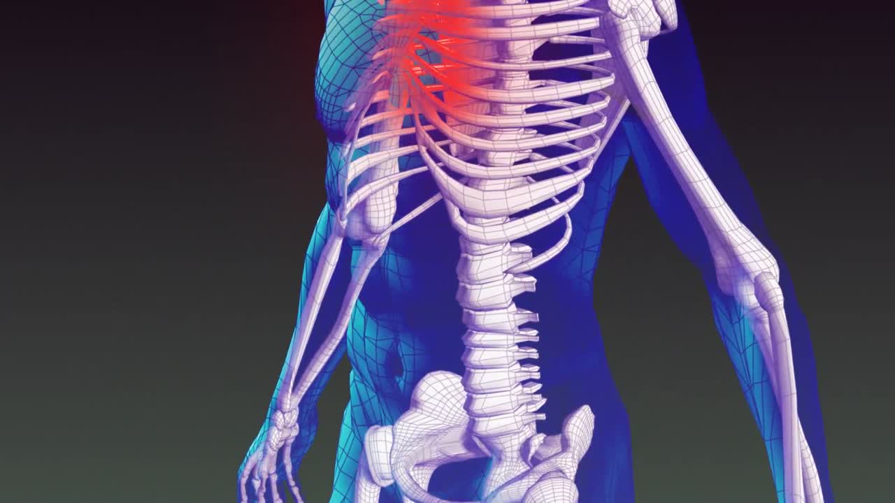 인간 가 ⁇ 의 주식 애니메이션