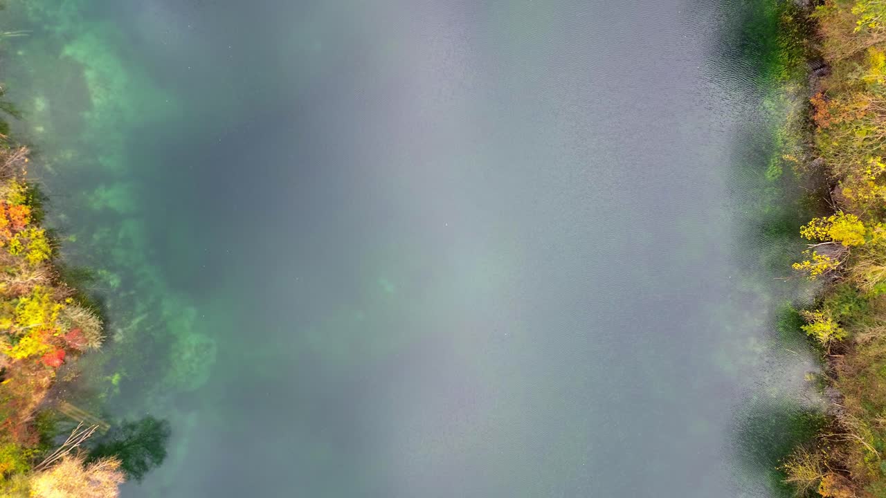 Aerial Drone Footage 4k of autumn lake shoreline