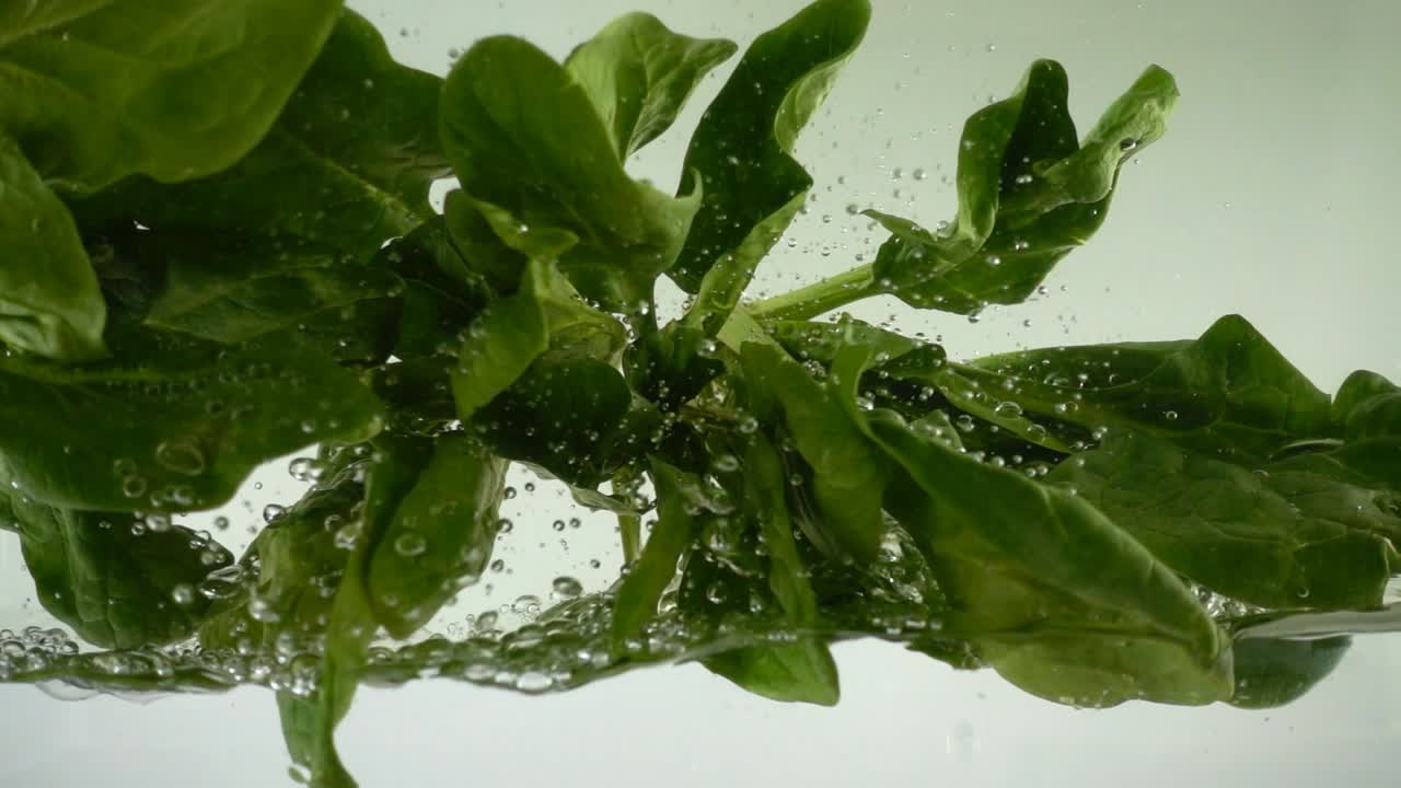 Foglie di spinaci nell'acqua. Movimento rallentato.