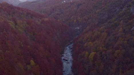 Cañón-De-Tara-Con-Río-Tapa-En-Montenegro-Durante-La-Mañana,-Antena