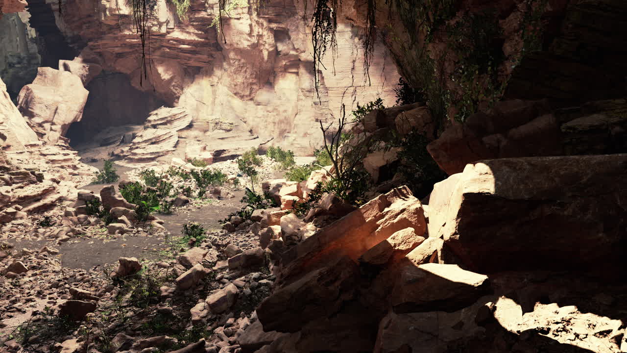 view from inside a dark cave with green plants and light on the exit