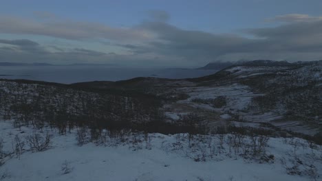 Winter, snow adn trees bye the ocean