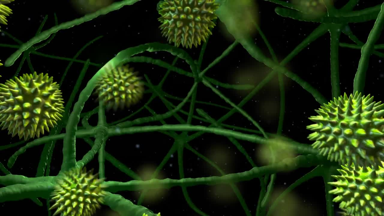 블랙 배경에서 신경세포를 통과하는 신호에 대한 코로나19 세포의 디지털 애니메이션