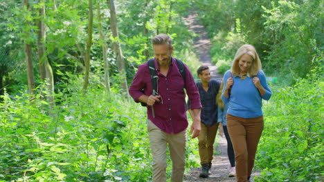 mature and mid adult couples in countryside hiking along path through forest together