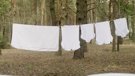 ropa blanca colgada en un tendedero en el bosque