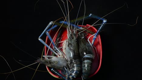 uncooked beef slices with sesame seeds and fresh big prawns in plastic containers - closeup shot