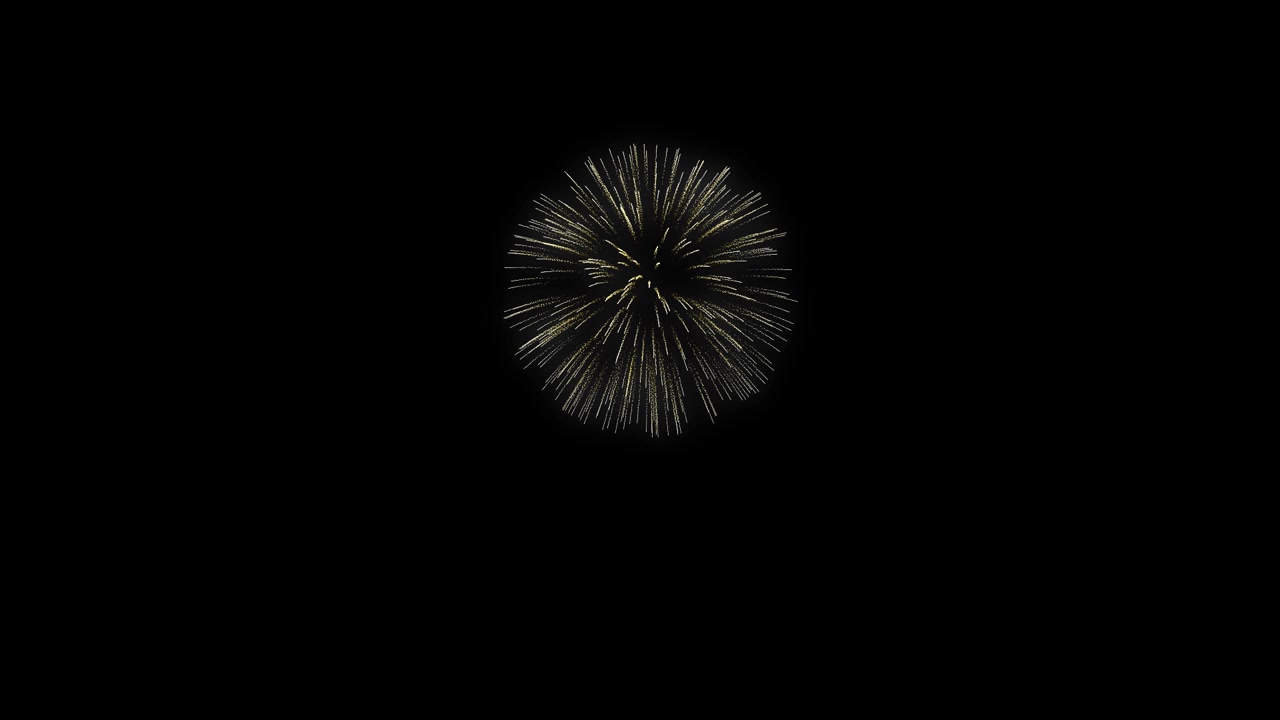 Holiday Fireworks 07