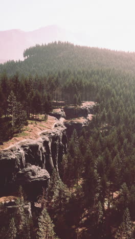 vista aérea de un bosque con un acantilado