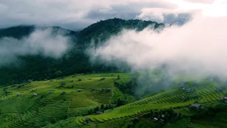 4k cinematic nature aerial drone footage of the beautiful mountains and paddy fields of ban pa pong piang at doi ithanon next to chiang mai, thailand on a cloudy day