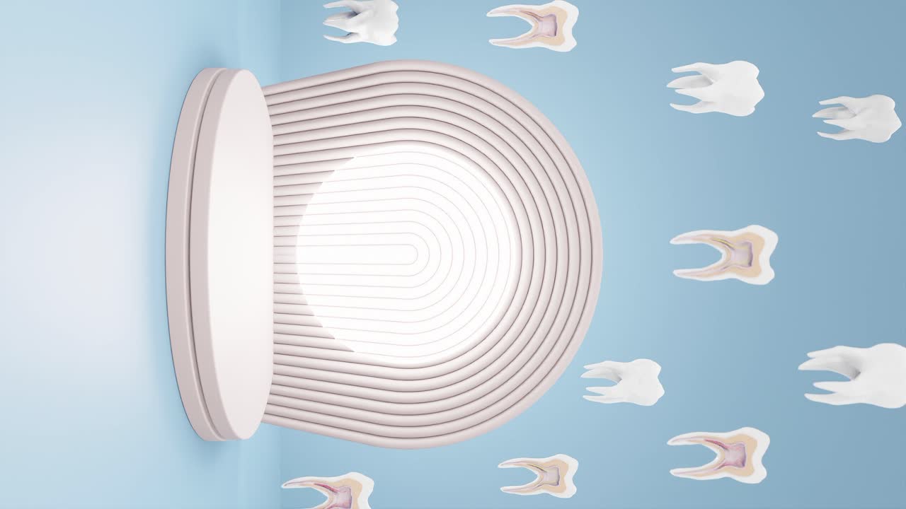 단 절단으로 회전하는 수직 모라 치아의 3d 렌더링 애니메이션, 치아 뿌리 해부학 개념