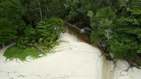 Mahe-Seychelles-cinematic-drone-shot-of-revealing-the-beach-from-the-river,-people-on-the-beach