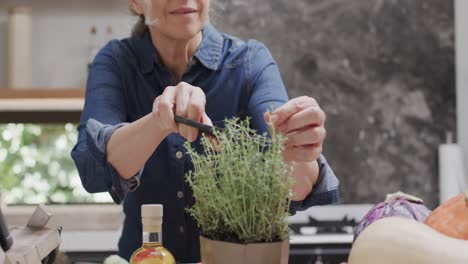 happy senior caucasian woman cutting herbs in kitchen, slow motion