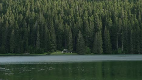 calm water and people in the distance at black lake montenegro