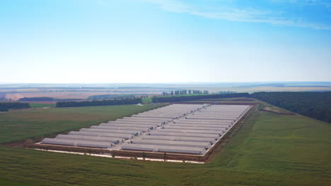 white long barns built in two plain rows at modern farm. agribusiness for eco products manufacturing. farmland at backdrop. aerial view.