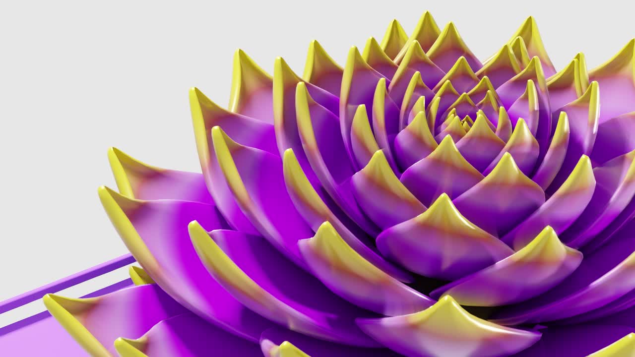 A digital art animation of purple and yellow lotus flower opening in loop 3d rendering