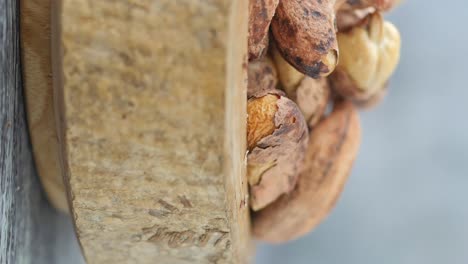 anacardos asados en un cuenco de madera