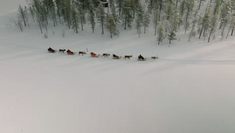 Leute-Reiten-Rentier,-Beliebter-Ausflug-Im-Verschneiten-Feld-Von-Muonio-In-Finnland