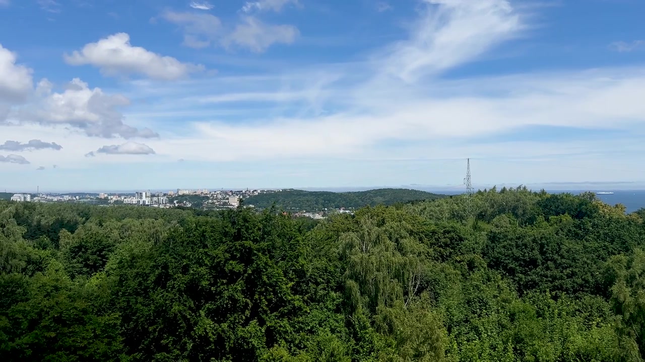 A wide cinematic aerial shot showcasing a dense green forest canopy transitioning into a distant urban skyline under a blue sky with wispy clouds.