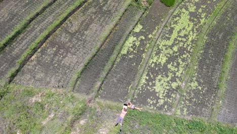 Luftaufnahme-Eines-Sonnenbadenden-Kaukasischen-Paares,-Das-An-Seinem-Laptop-Arbeitet-Und-Inmitten-Des-Neu-Gepflanzten-Reisfeldes-Canggu-Bali-Indonesien-Sitzt