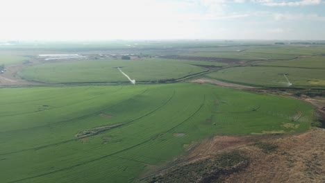 Vista-Aérea-Pacífica-De-Los-Campos-De-Maíz-Con-Sistemas-De-Riego-De-Pivote-Central-En-El-Proyecto-De-La-Cuenca-De-Columbia-Del-Estado-De-Washington-Oriental-A-Fines-Del-Verano