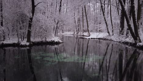 Sanfter-Schneefall-über-Niebieskie-Zrodla-Blaue-Quellen-Berühmter-Schimmernder-Pool,-Polnische-Winterszene