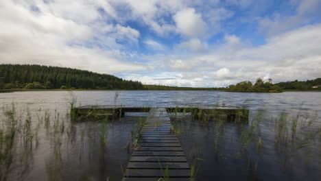 time lapse of a timber jetty with reeds on local lake on a cloudy summer day in rural landscape of ireland