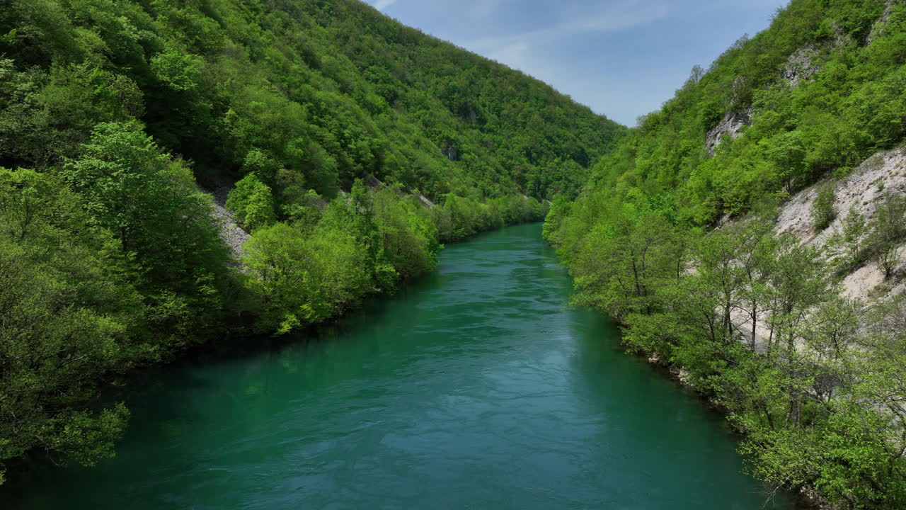 Una scena naturale incontaminata con un fiume limpido fiancheggiato da alberi appena rinverditi e un cielo sereno, vista dall'alto.
