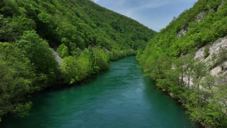 Eine-Unberührte-Naturszene-Mit-Einem-Klaren-Fluss,-Flankiert-Von-Frisch-Grünen-Bäumen-Und-Einem-Sanften-Himmel,-Von-Oben-Betrachtet