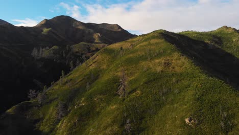 Circling-around-a-dark-green-mountain-top,-covered-in-withered-trees,-dry-grass-and-vegetation