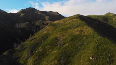 circling around a dark green mountain top, covered in withered trees, dry grass and vegetation