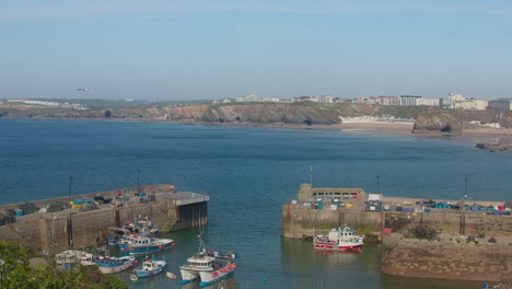 Vögel-Fliegen-Friedlich-über-Den-Hafen-Von-Newquay-Mit-Blick-Auf-Das-Anlegen-Von-Booten-Tagsüber-In-Cornwall,-England,-Großbritannien