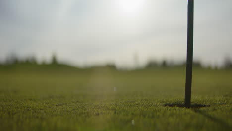 golf ball rolling towards hole on a sunny golf course, creating suspense and focus
