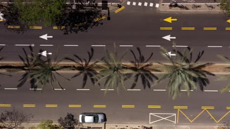 aerial view of a city street with palm trees