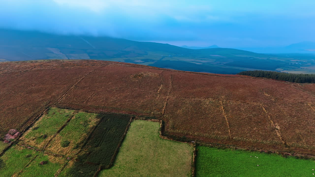 Sloping mountains are divided into the farmlands for sheep farming. Scenic view of Ireland from drone at daytime.