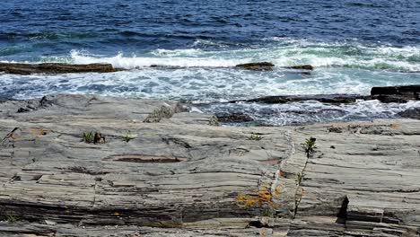 two lights state park, capeelizabeth, maine waves crashing in on rugged granite coastline