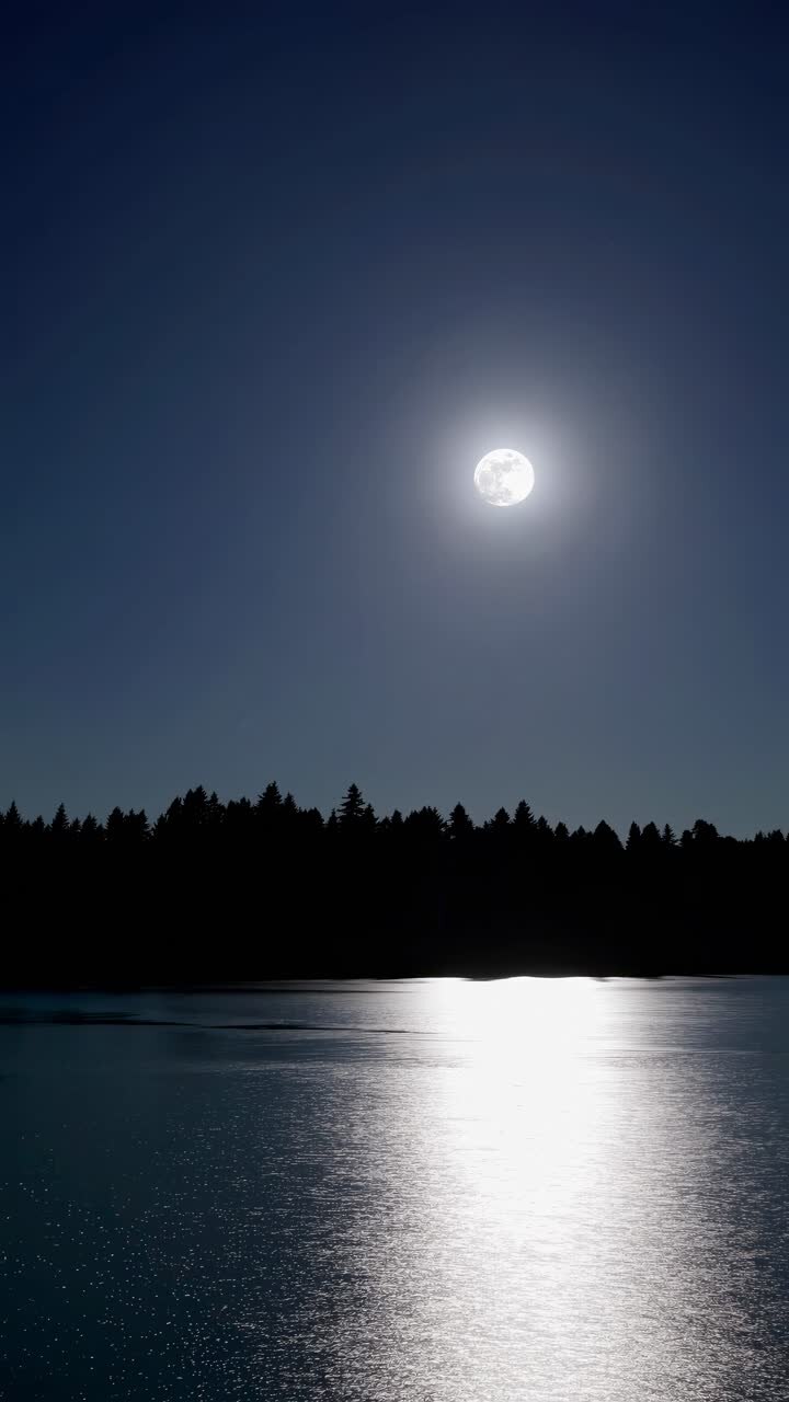 Un video di una serena scena notturna cattura una luna piena su un lago, con una visuale dal basso che si riflette